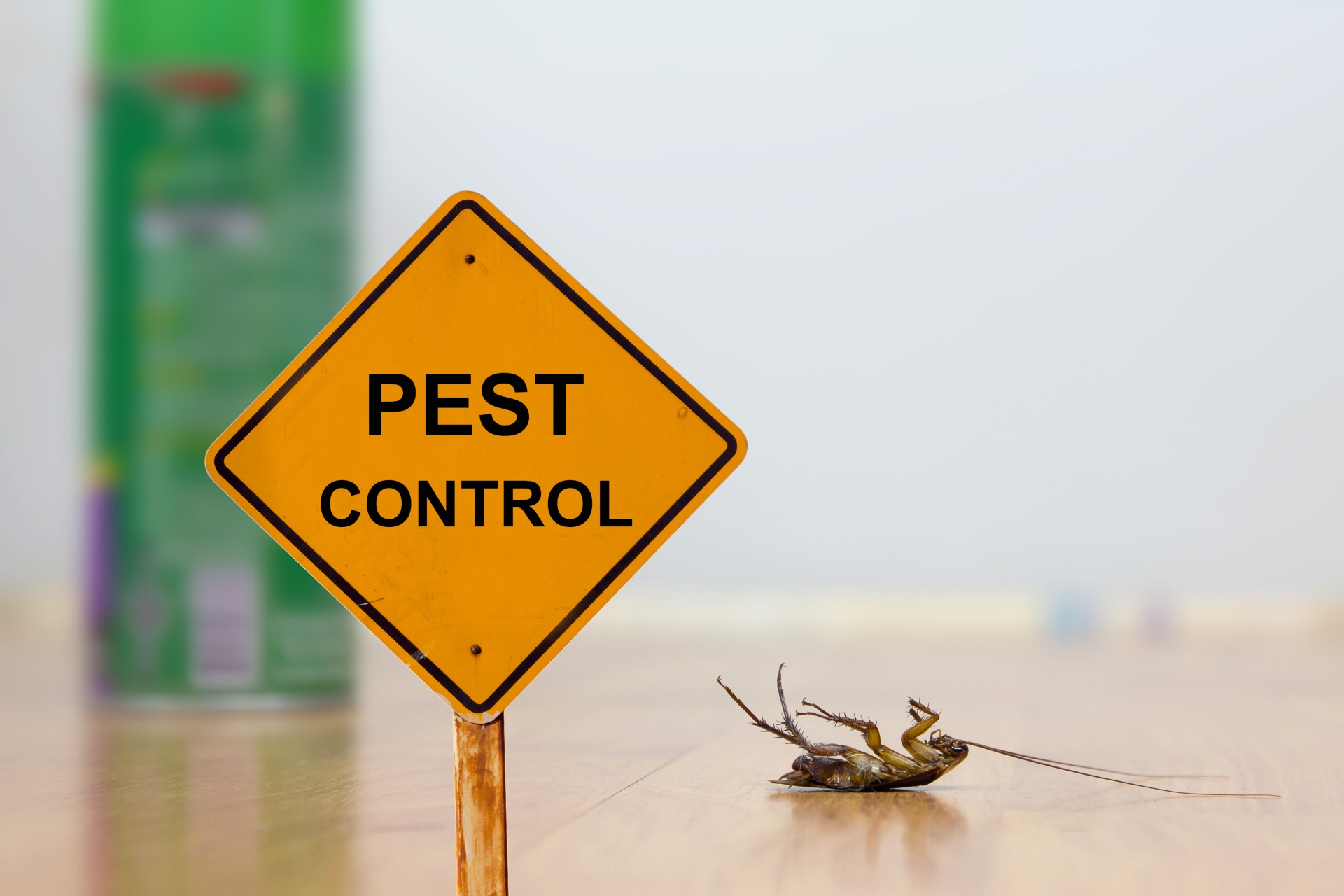 24 Hour Pest Control, Pest Control in North Harrow, South Harrow, West Harrow, HA2. Call Now 020 8166 9746